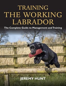 Training the Working Labrador