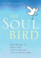 Soul Bird