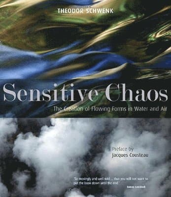 Sensitive Chaos