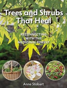 Trees and Shrubs that Heal