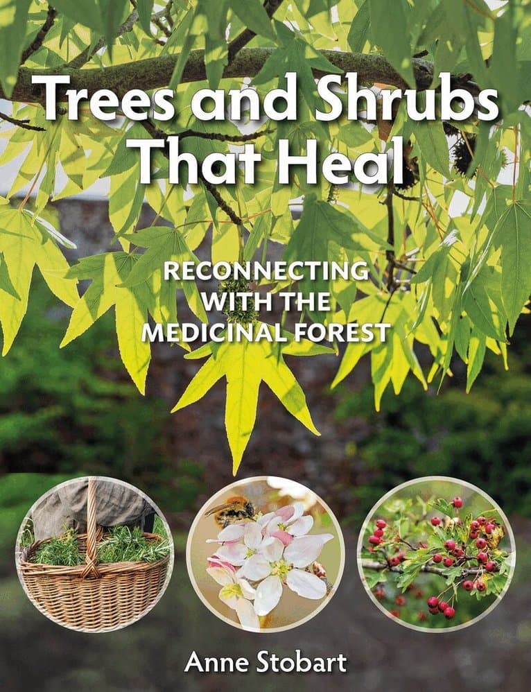 Trees and Shrubs that Heal