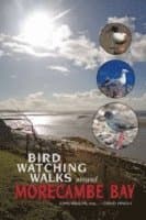 Birdwatching Walks Around Morecambe Bay