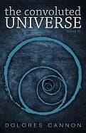 Convoluted Universe: Book Four