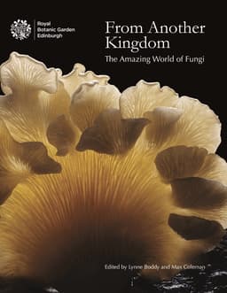 From Another Kingdom