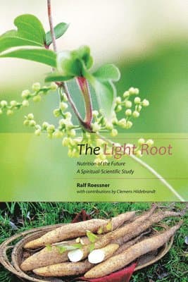 Light Root