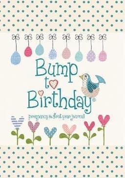 Bump to Birthday, Pregnancy & First Year Journal