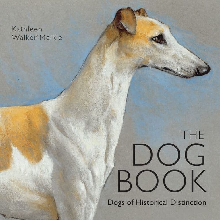Medieval Pets