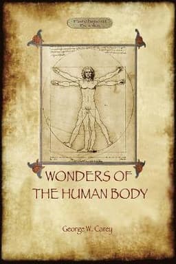 Wonders of the Human Body