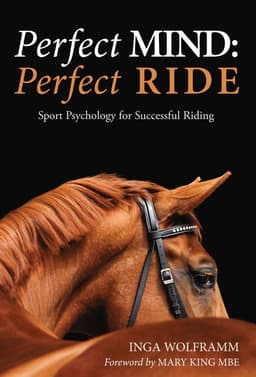 Perfect Mind: Perfect Ride