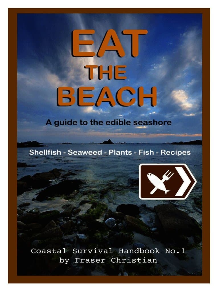 Eat the Beach