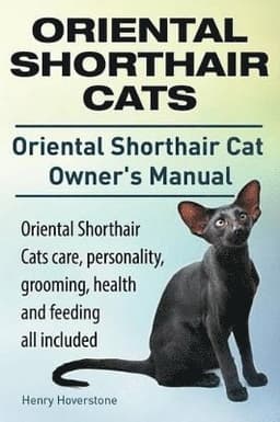 Oriental Shorthair Cats. Oriental Shorthair Cat Owners Manual. Oriental Shorthair Cats care, personality, grooming, health and feeding all included.