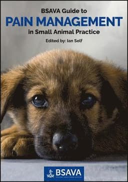 BSAVA Guide to Pain Management in Small Animal Practice