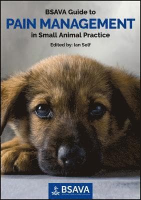BSAVA Guide to Pain Management in Small Animal Practice