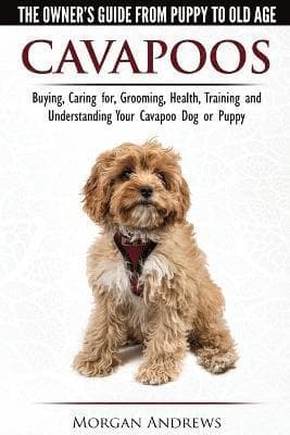 Caring Fo Cavapoos - the Owner's Guide from Puppy to Old Age - Buying