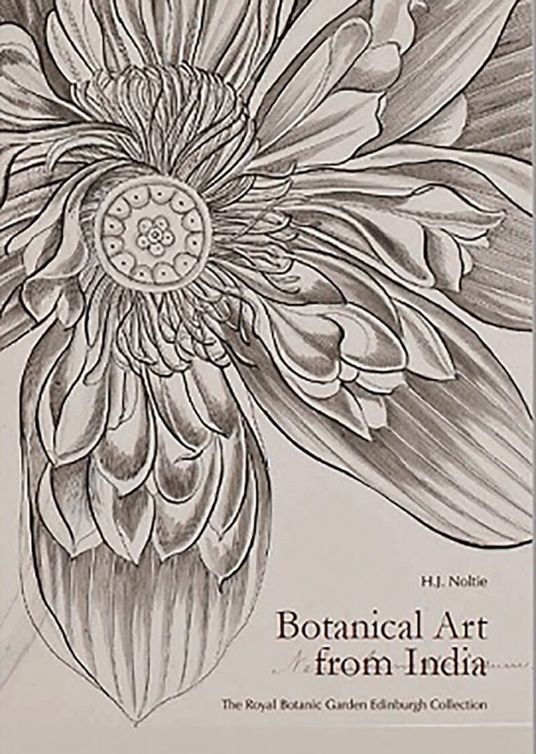 Botanical Art from India