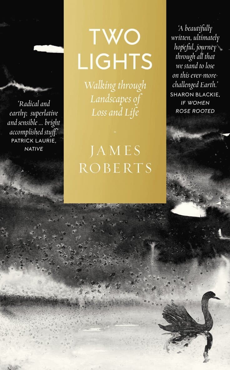 Omslag till boken Two Lights av James Roberts