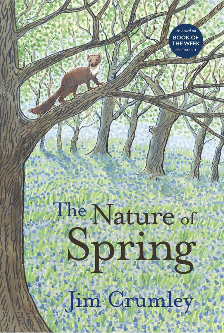 Nature of Spring
