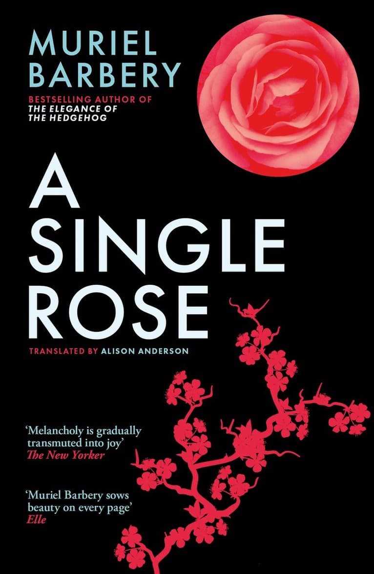 Single Rose
