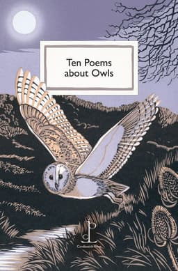 Ten Poems about Owls