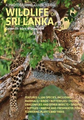 Photographic Guide to the Wildlife of Sri Lanka