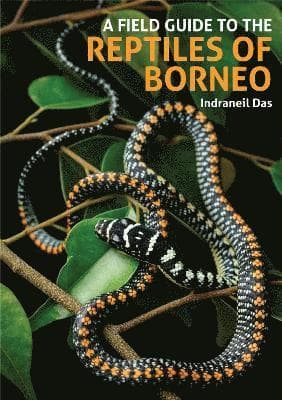 Field Guide to the Reptiles of Borneo