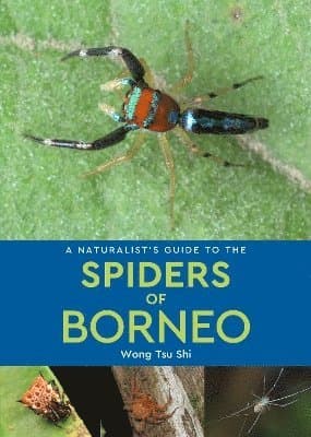 Naturalist's Guide to the Spiders of Borneo
