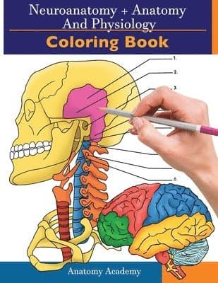 Neuroanatomy + Anatomy and Physiology Coloring Book