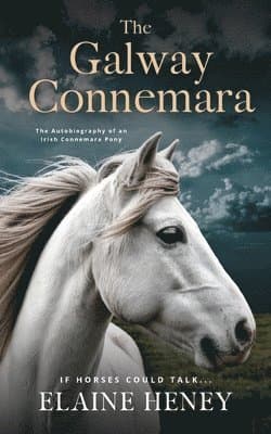 Galway Connemara | The Autobiography of an Irish Connemara Pony. If horses could talk
