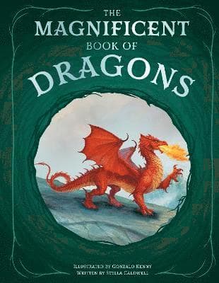 Magnificent Book of Dragons