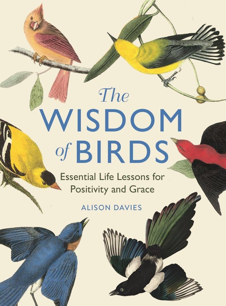 Wisdom of Birds