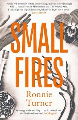 Small Fires
