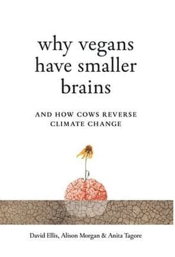 Why Vegans Have Smaller Brains