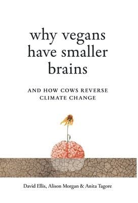 Why Vegans Have Smaller Brains