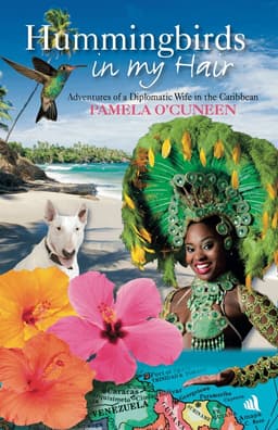 Hummingbirds in My Hair