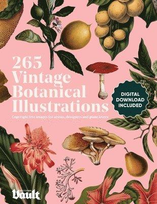 Vintage Botanical Illustration