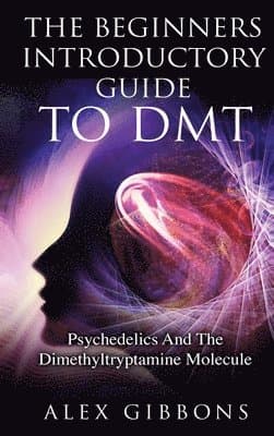 Beginners Introductory Guide To DMT - Psychedelics And The Dimethyltryptamine Molecule