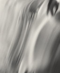 Henry O. Head: Twelve Acres