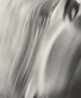 Henry O. Head: Twelve Acres