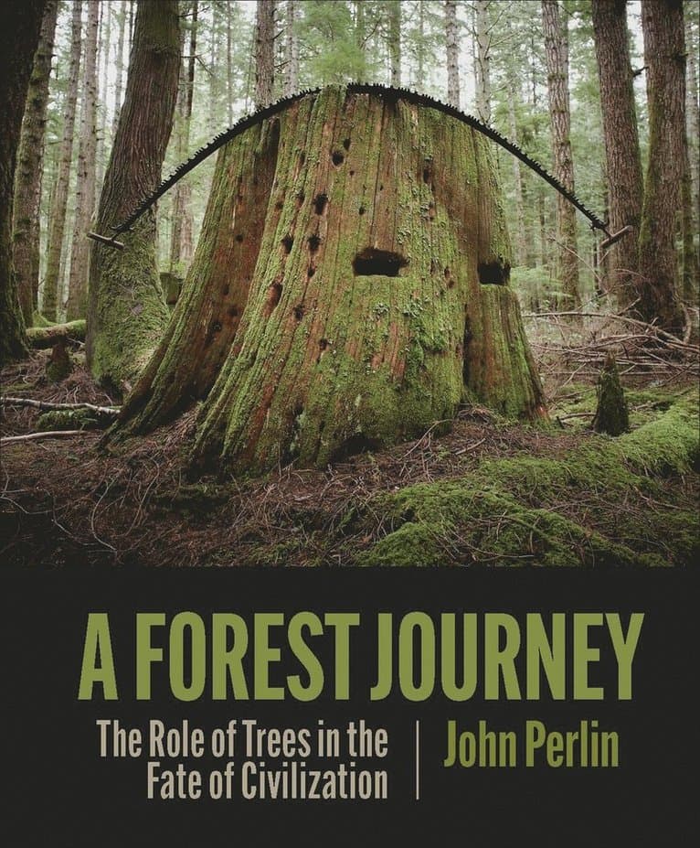Forest Journey