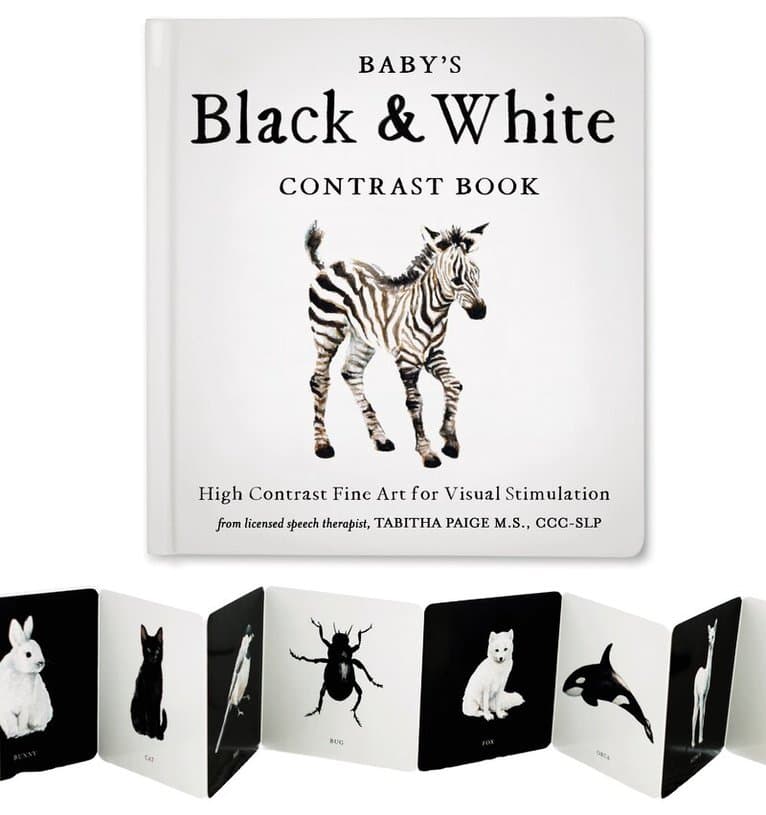 Baby's Black and White Contrast Book