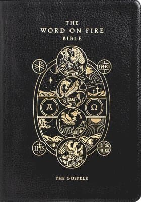Omslag till boken The Word on Fire Bible: The Gospels Volume 1
