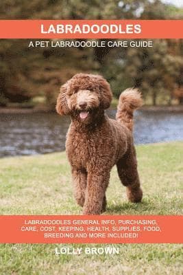 Labradoodles: Labradoodles General Info, Purchasing, Care, Cost, Keeping, Health, Supplies, Food, Breeding and More Included! A Pet