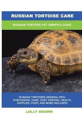 Russian Tortoise Care
