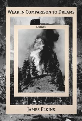 Why Are Our Pictures Puzzles?