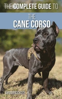 Complete Guide to the Cane Corso