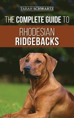 Complete Guide to Rhodesian Ridgebacks