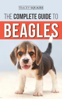 Complete Guide to Beagles