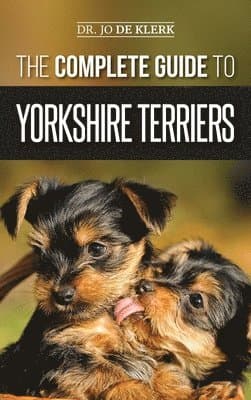 Complete Guide to Yorkshire Terriers
