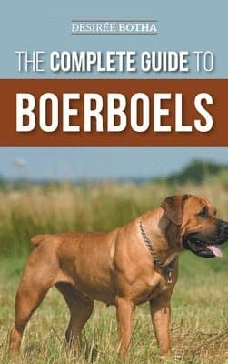 Complete Guide to Boerboels