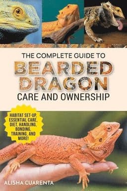 Complete Guide to Bearded Dragon Care and Ownership